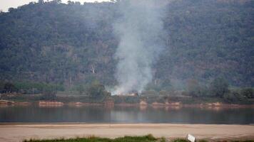 bosque incendios durante un caliente soleado verano día, bosque fuego en progreso, bosque incendios destruyendo y causando aire contaminación, de miedo incendio forestal, fuego fatuo desastre concepto video