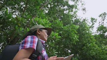 kvinna natur forskare med ryggsäck arbetssätt på digital läsplatta medan utforska i tropisk regnskog. miljö och naturvårdare. solo- vandring. video