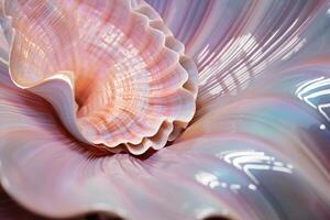 AI generated Curved Sea pearl shell closeup. Generate Ai photo