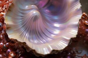 AI generated Textured Sea pearl shell closeup. Generate Ai photo