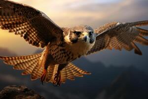 AI generated Serene Flying falcon sunset. Generate Ai photo