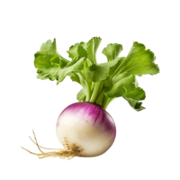 AI generated Kohlrabi Without Distractions, Making It the Central Focus of Your Culinary Graphic png