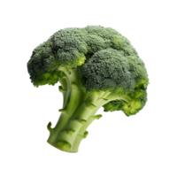 AI generated Transparent Fresh Broccoli on a Clear Surface png