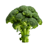 AI generated Fresh Broccoli with No Background Clutter png