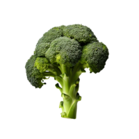 AI generated Fresh Broccoli with No Background Distractions png