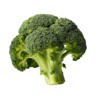 AI generated See Through Fresh Broccoli Presentation png