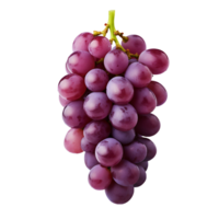 AI generated Grape in PNG  No Distractions