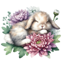 ai generado linda Conejo dormido en un flor png