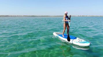 aéreo ver de un joven caucásico mujer en pie en un paddleboard viajes en su zapata en el temprano Mañana en un soleado día en el mar. video