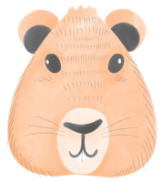 marmotta carino animale png