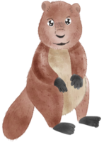 marmotta carino animale png