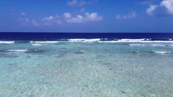 zangão Visão do a ondas do a indiano oceano em a coral recifes do a maldivo praias. video