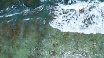 dar visie van de golven van de Indisch oceaan Aan de koraal riffen van de Maldivisch stranden. video