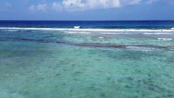 dar visie van de golven van de Indisch oceaan Aan de koraal riffen van de Maldivisch stranden. video