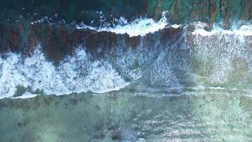 Drone view of the waves of the Indian Ocean on the coral reefs of the Maldivian beaches. video