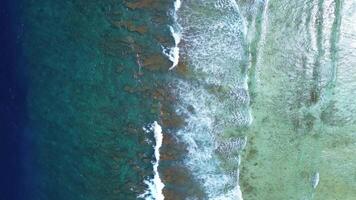 Drone view of the waves of the Indian Ocean on the coral reefs of the Maldivian beaches. video