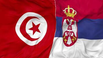 Tunisia and Serbia Flags Together Seamless Looping Background, Looped Bump Texture Cloth Waving Slow Motion, 3D Rendering video