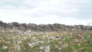 ciudad vertedero. un enorme basura vertedero. aves dando vueltas terminado el basura video