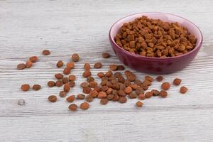 Bowl with animal food photo