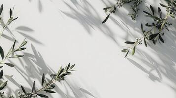 AI generated a blank greeting card mockup featuring olive tree branches delicately arranged on a white table background, perfect for wedding invitations. photo