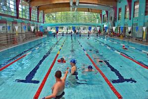 Swimming in the swimming pool photo