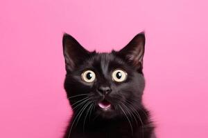 AI generated Black surprised cat with large, captivating eyes on pink background. Ideal for promotions, great deals or offers. Good price, Black Friday, discount. Copy space for text. Amazed pet. photo
