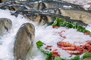 Fresh bass and dorada on counter, filled with ice photo