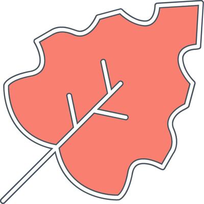 Autumn leaf Vector Icon
