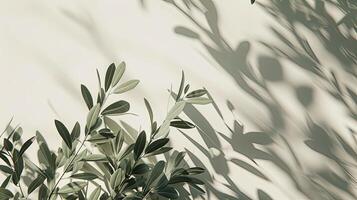 ai generado un blanco saludo tarjeta Bosquejo presentando aceituna árbol ramas delicadamente arreglado en un blanco mesa fondo, Perfecto para Boda invitaciones foto