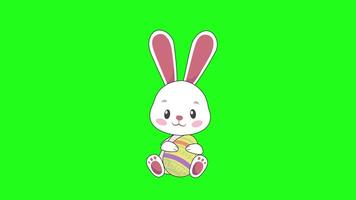 2d animation dessin animé lapin Pâques et Oeuf alpha canal transparent vert écran video