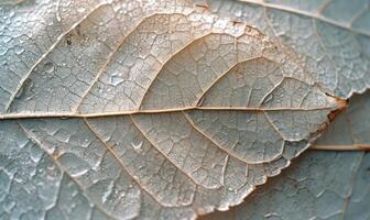 AI generated Macro of water drops on the autumn leaf. Natural background. photo