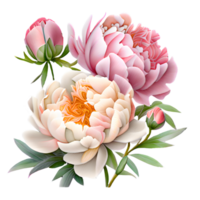 ai gegenereerd waterverf pioen bloemen samenstelling. illustratie van een bloeiend bloem tuin in pastel stoffig roos kleuren. png