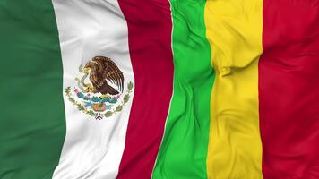 Mexico and Mali Flags Together Seamless Looping Background, Looped Cloth Waving Slow Motion, 3D Rendering video