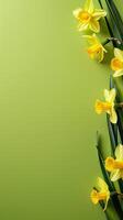 AI generated yellow daffodils, set against an electric lime green background, embodying the essence of springtime bloom and floral beauty. Ample copy space provided for messaging. photo