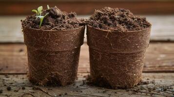 AI generated vegetable seeds with a mix of coco coir, peat, and perlite, showcasing the essential components of a healthy and fertile growing medium in a gardening setting. photo