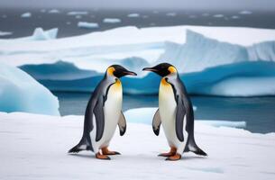 ai generado mundo pingüino día, un casado par de pingüinos en un a la deriva hielo témpano de hielo, el Reino de hielo y nieve, el lejos norte, un iceberg en el Oceano foto