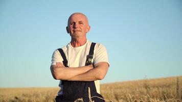 Close up portrait of senior farmer looking to the camera in the golden field on the blue sky background sunny day. Farming and agriculture concept video