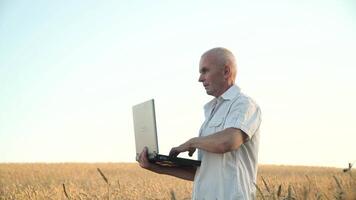 Senior farmer using laptop on wheat field. Concept of digital technologies in agriculture video