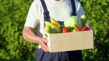 Happy senior farmer is holding a box of organic vegetables and look at camera video