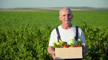 Senior Farmer mit organisch Gemüse im Herbst Jahreszeit. fallen Ernte Füllhorn Landwirtschaft. das Erntedankfest Tag video