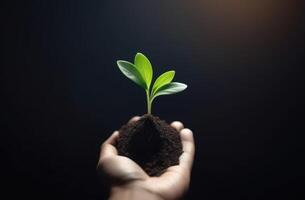 AI generated Arbor Day, a handful of earth in your hands, a green sprout in your palms, Handholding tree sapling, planting plants, a young plant grows out of the soil, dark background photo