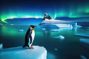 ai generado mundo pingüino día, un solitario adulto pingüino en un hielo témpano de hielo, el Reino de hielo y nieve, un iceberg en el océano, el del Norte luces, el lejos norte foto