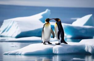 ai generado mundo pingüino día, un pingüino Pareja en un a la deriva hielo témpano de hielo, un iceberg en el océano, el Reino de hielo y nieve, el lejos norte foto