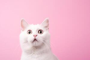 AI generated Adorable white cat with wide, surprised eyes against a soft pink background, perfect for pet-related advertising, greeting cards, and humorous social media content, with space for text. photo