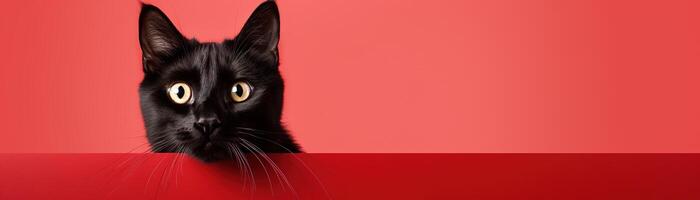 AI generated Captivating black cat with an astonished expression against bold red background, perfect for eye-catching advertisements, special promotions, or creative projects. Copy space for text. photo