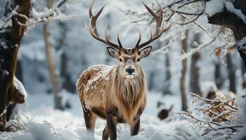 AI generated Cute deer in winter forest, snowing, nature frozen beauty generated by AI photo