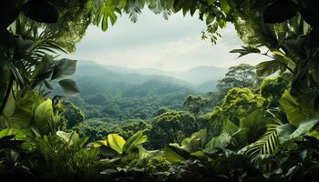 AI generated Green forest, leafy trees, tropical rainforest, freshness in nature generated by AI photo