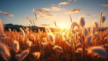 ai generado puesta de sol terminado prado, naturaleza belleza en vibrante, dorado trigo campo generado por ai foto