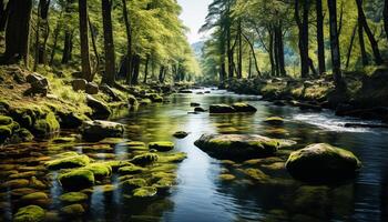 AI generated Tranquil scene  nature beauty in a flowing, green forest generated by AI photo