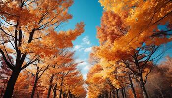 AI generated Vibrant autumn leaves paint a colorful forest landscape generated by AI photo